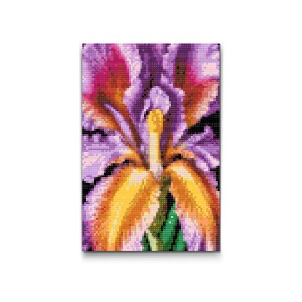 M2_Diamond_painting_-_Irisblüte