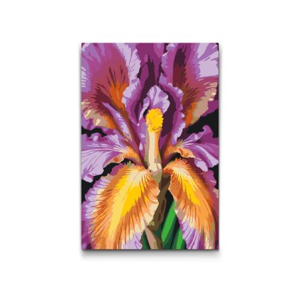 M2_Malen_nach_Zahlen_-_Irisblüte