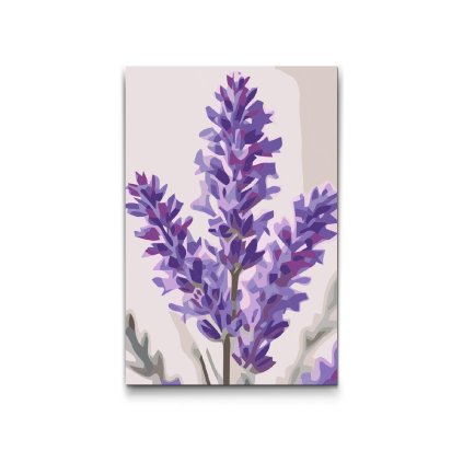 M2_Malen_nach_Zahlen_-_Lavendelblüte