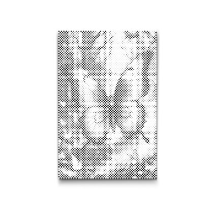 M2_Punktmalerei_-_Magischer_Schmetterling