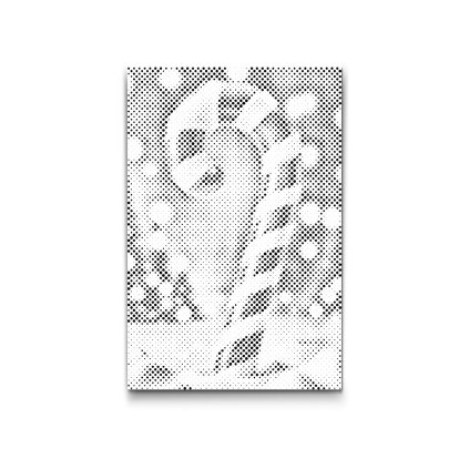 M2_Punktmalerei_-_Weihnachtsstab