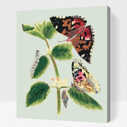 Malen nach Zahlen - Vintage Schmetterlinge I.