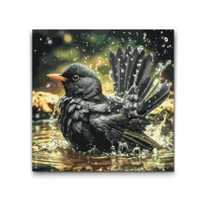 M2_Malen_nach_Zahlen_-_Vogeltränke