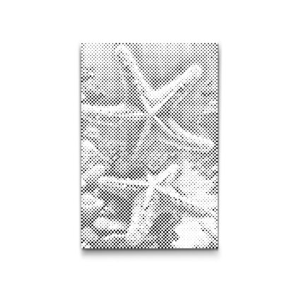 M2_Punktmalerei_-_Seestern