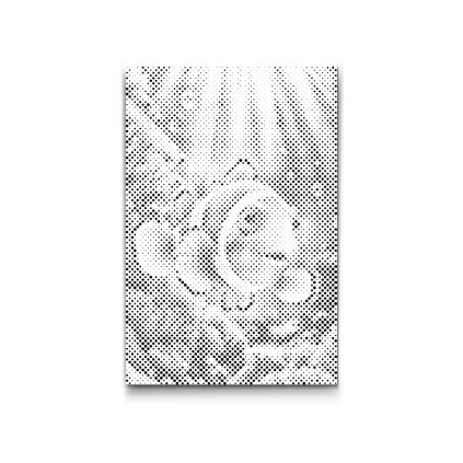 M2_Punktmalerei_-_Falscher_Clownfisch