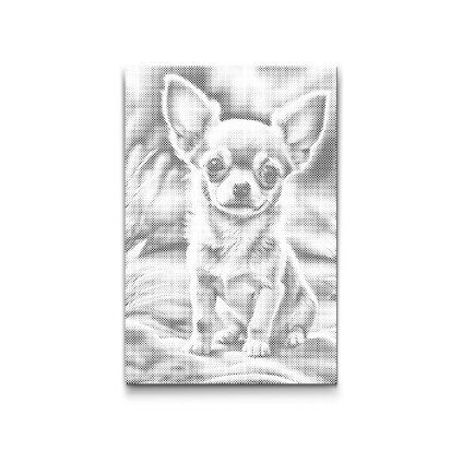 M2_Punktmalerei_-_Chihuahua