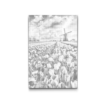 M2_Punktmalerei_-_Windmühlen_auf_einem_Tulpenfeld