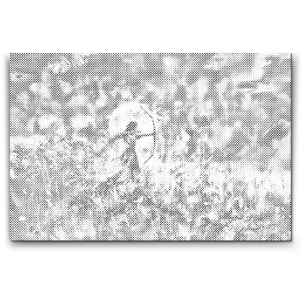 M2_Punktmalerei_-_Schütze/Sagittarius