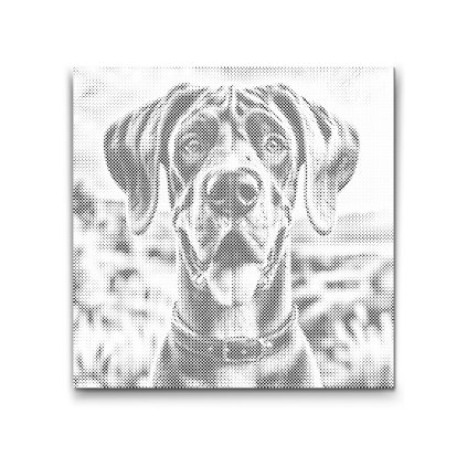 M2_Punktmalerei_-_Dogge