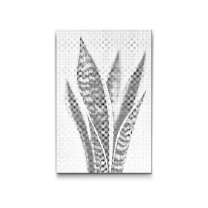 Punktmalerei_Sansevieria_Schwiegermutterzunge_M2