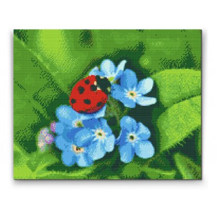 Diamond painting - Marienkäfer auf blauen Blumen