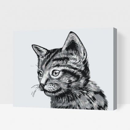 Malen nach Zahlen - Nettes Schwarzweiss-Kätzchen