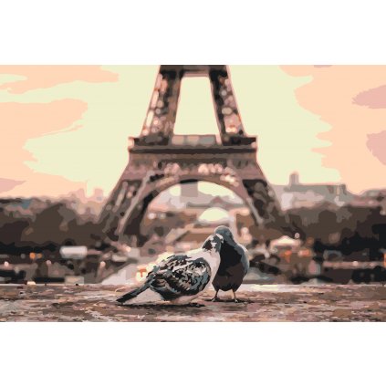 Malen nach Zahlen - Tauben in Paris