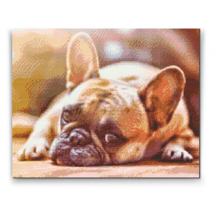Diamond Painting - Bulldogge