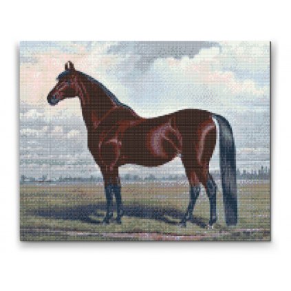 Diamond Painting - Ein majestätisches Pferd
