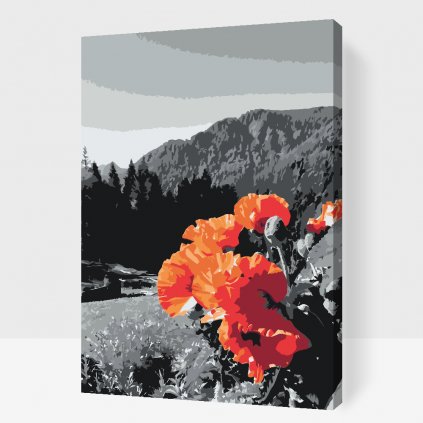 Malen nach Zahlen - Mohn in den Bergen