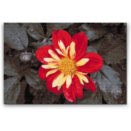 Diamond Painting - Rote Blume