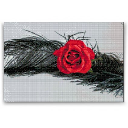 Diamond Painting - Rose in einer Feder