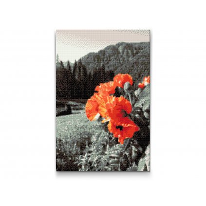 Diamond Painting - Mohn in den Bergen