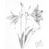 Punktmalerei - Vintage Lilien