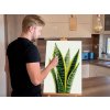 Diamond_Painting_Sansevieria_Schwiegermutterzunge_M9