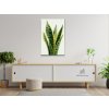 Diamond_Painting_Sansevieria_Schwiegermutterzunge_M3