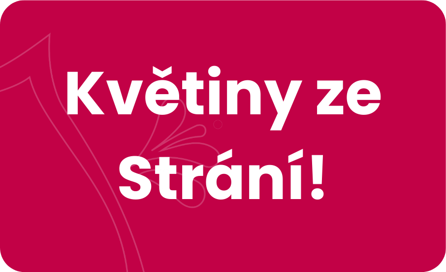 Květiny ze Strání
