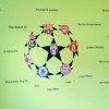 i916 27478 wallsticker football world lg