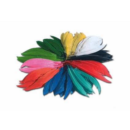 FO231.5b Peří indián 100g