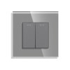 2gang push switch grey