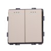 2G1W Push Switch Gold 正面
