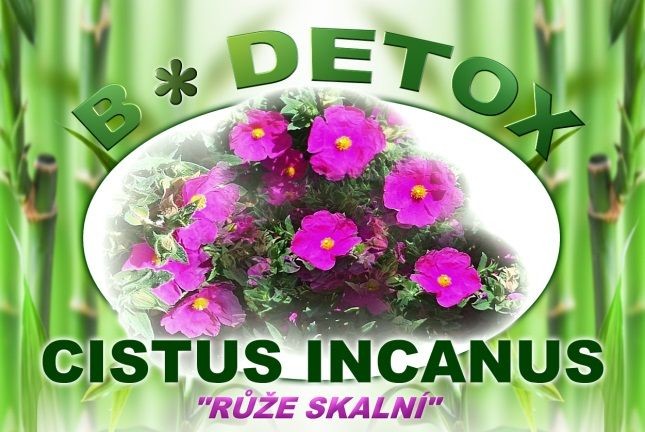 Levně Bio-Detox Růže skalní - CISTUS INCANUS 150g