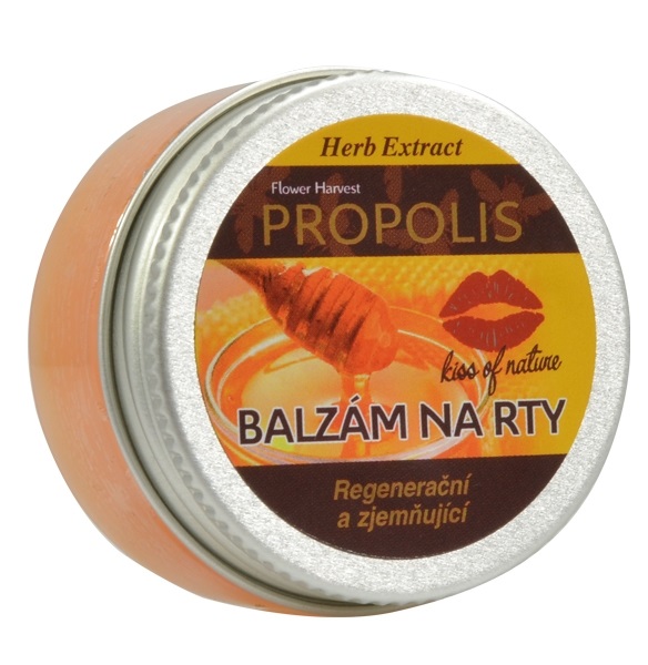 VIVACO Ochranný balzám na rty Propolis HERB EXTRACT