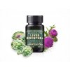 LIVER BOOSTER+ intenzívna regenerácia pečene