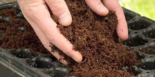 Měření kokosu a rašelinových substrátů