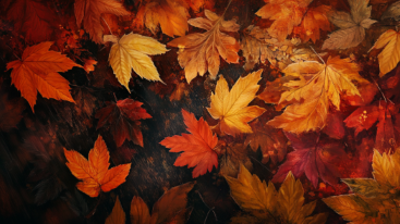 Hydratace pleti a příprava na podzimní počasí