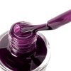 le vernis au silicium aubergine.jpg 1