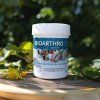 Bioarthro gel 300ml Biomedica