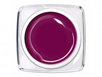 37026 charm gel barevny 395 lipstick purple