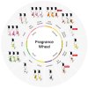 4newlotions Fragrancewheel ENG