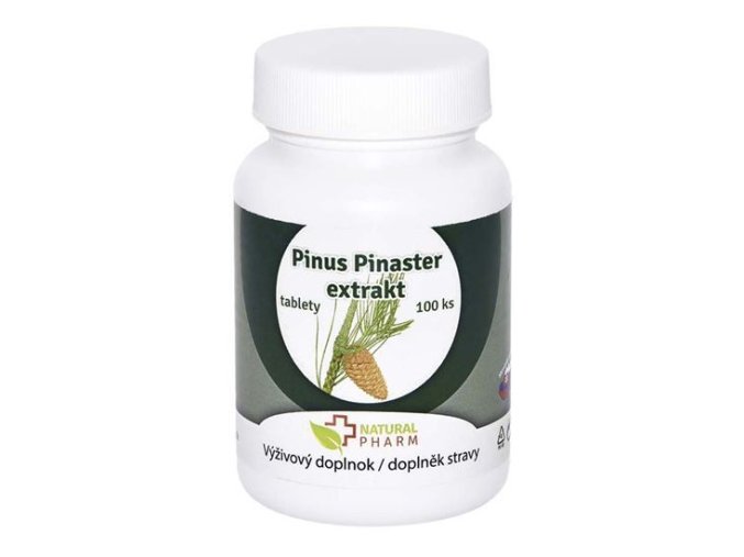 pinius pinaster 100ks