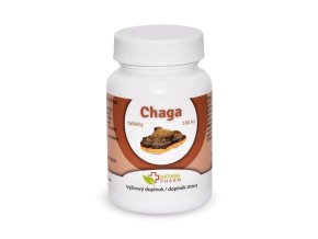 chaga 100 ks