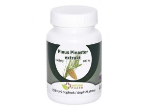 pinius pinaster 100ks