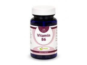 Vitamin B6 tablety 100ks