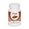 chaga 100 ks