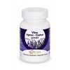 Vitex castus 100ks