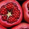 granatové jablko2