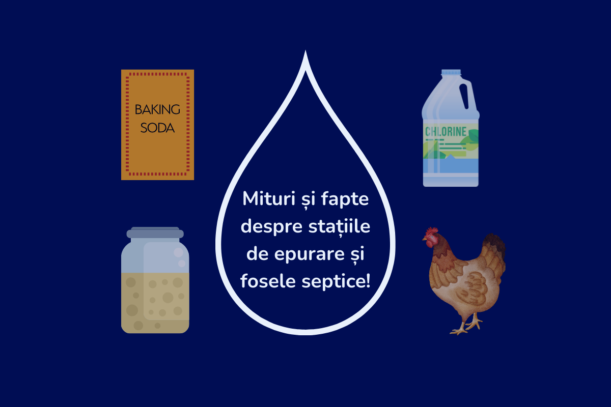 Mituri și fapte despre stațiile de epurare și fosele septice: De ce bacteriile sunt mai importante decât clorul sau drojdia