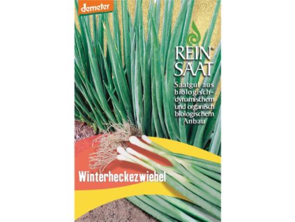 Semienka cibuľka mladá Demeter REINSAAT
