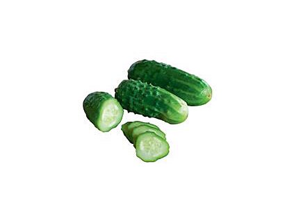 Semienka stredne ostré feferónky Demeter REINSAAT